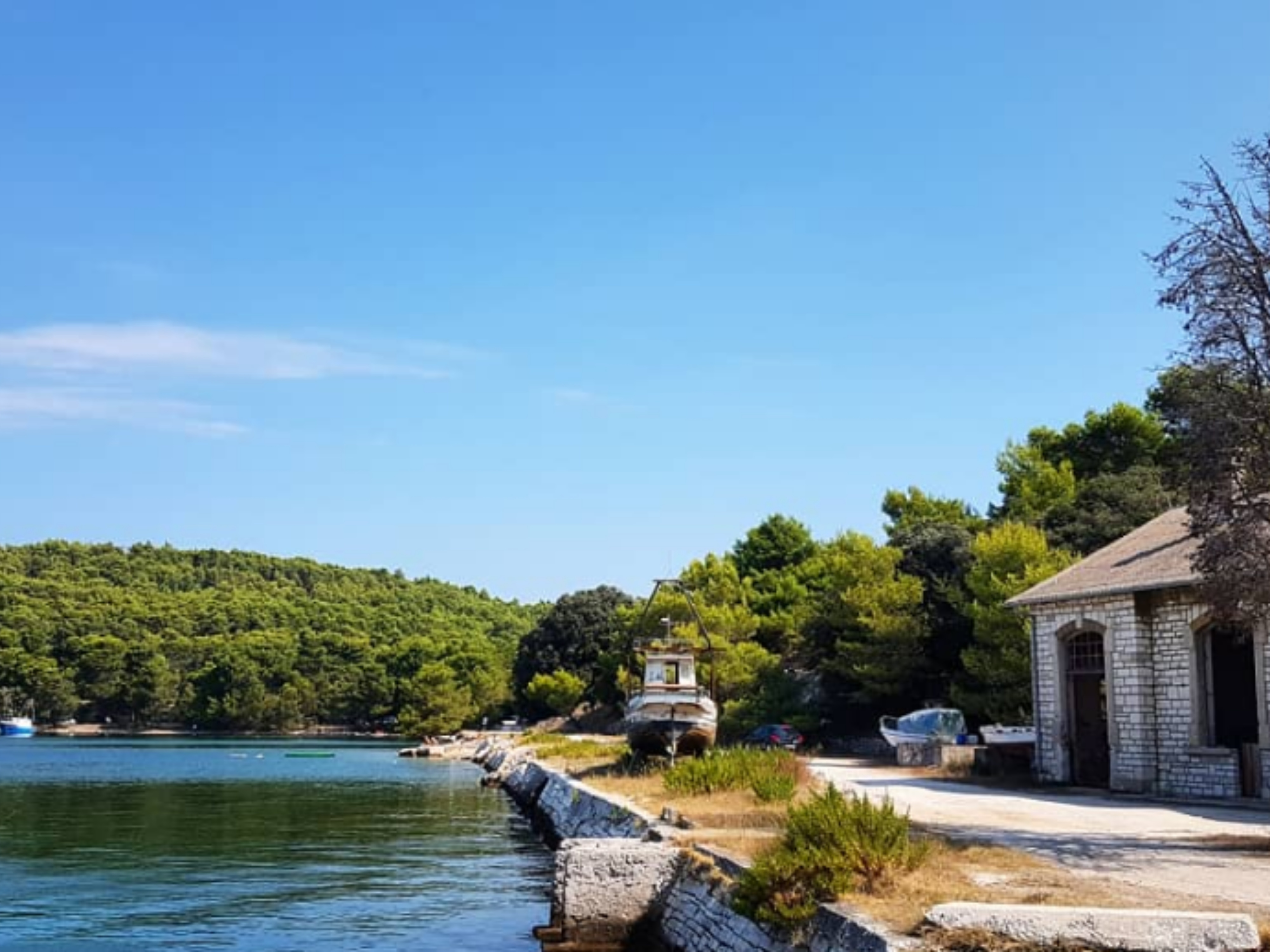 OPREZ! Izlučivanje divljači na području Vallelunge i Štinjana